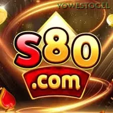 S80 yowestogel